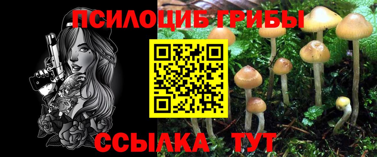 Галлюциногенные грибы Psilocybe Верхняя Салда