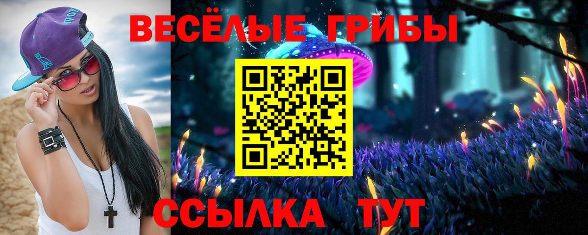 Псилоцибиновые грибы GOLDEN TEACHER  Псилоцибиновые грибы GOLDEN TEACHER  Верхняя Салда  Вход с VPN 